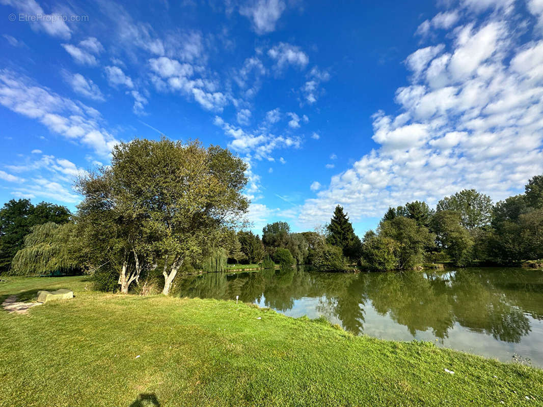 Terrain à LAMNAY