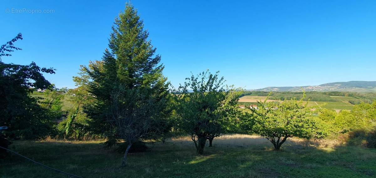 Terrain à LACHASSAGNE