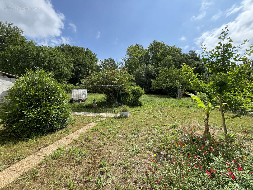 Maison à ALZONNE