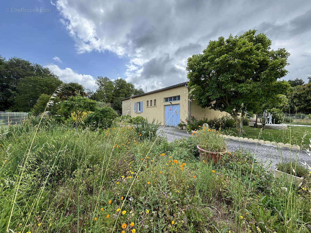 Maison à ALZONNE