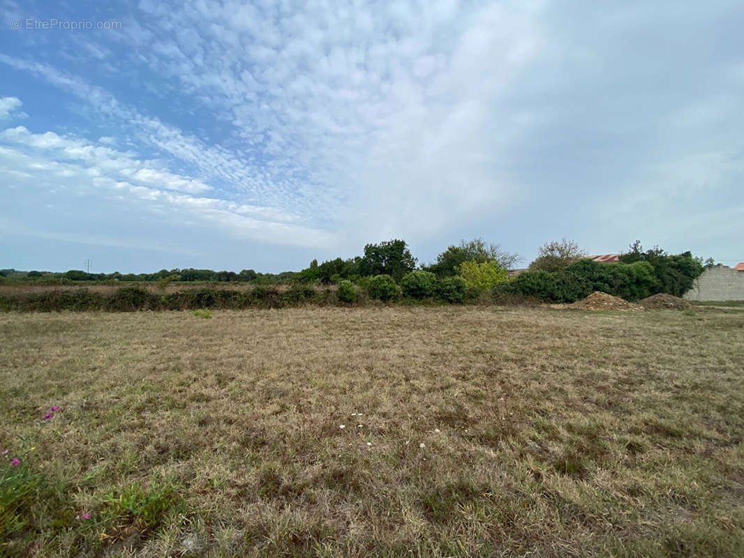 Terrain à LE CHATEAU-D&#039;OLERON