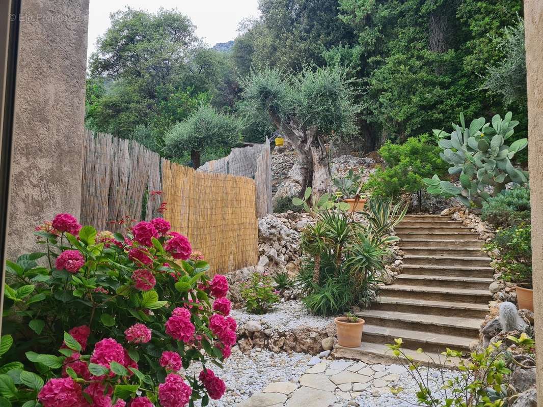 Maison à MENTON