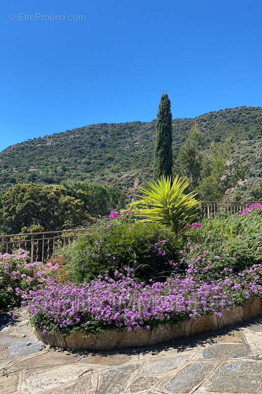 Maison à LE LAVANDOU