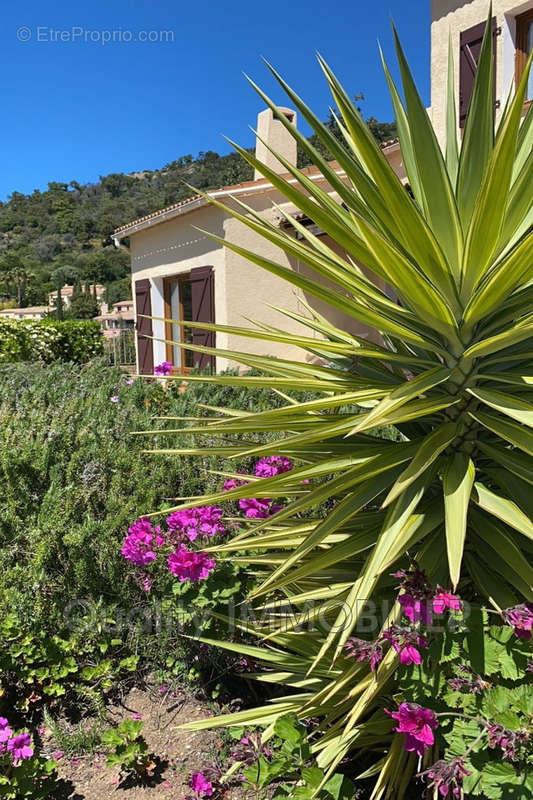 Maison à LE LAVANDOU