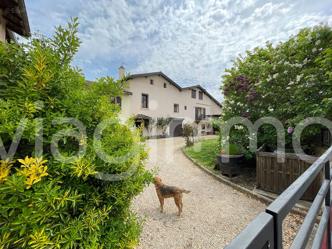 Maison à LA CHAPELLE-DE-GUINCHAY