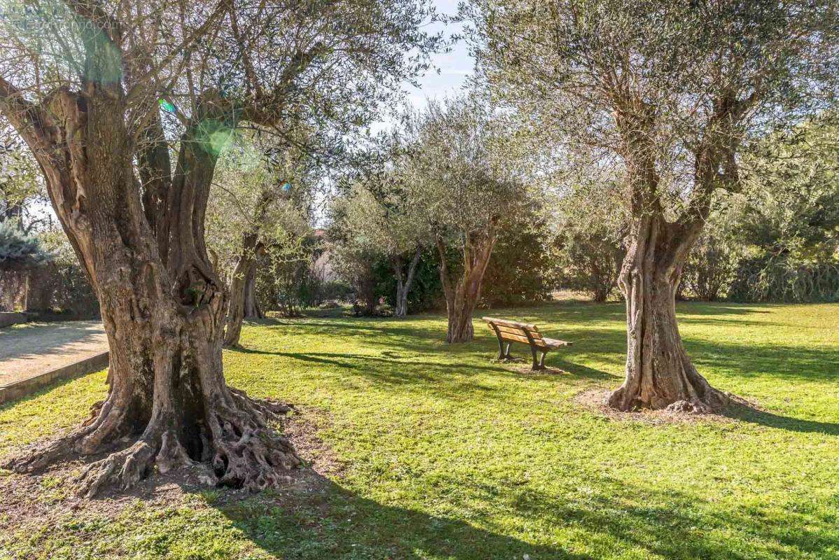 Appartement à VALLAURIS