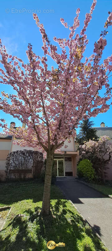 Appartement à PFASTATT