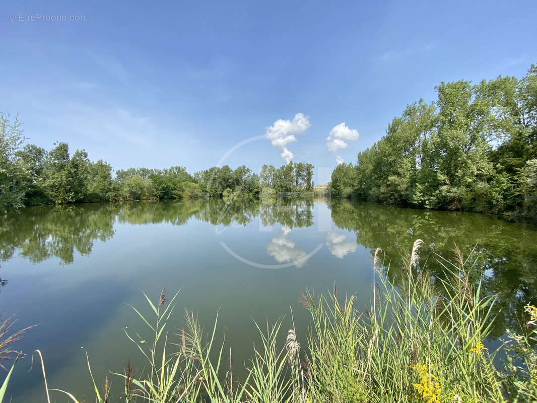 Terrain à THIONVILLE