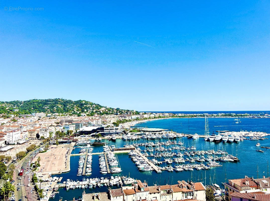 Commerce à CANNES