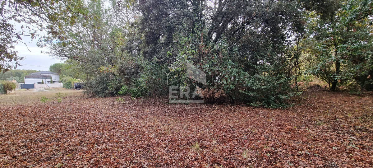 Terrain à LE TAILLAN-MEDOC