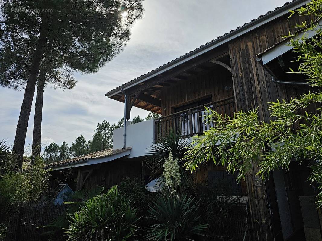 Appartement à LEGE-CAP-FERRET