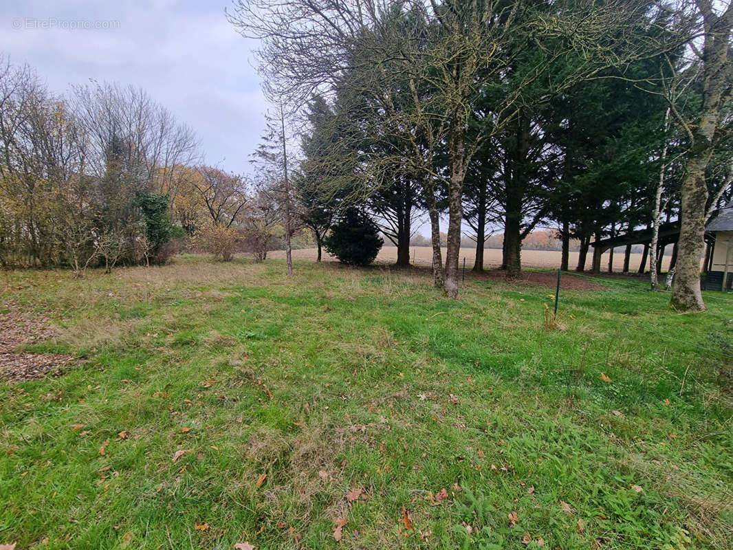 Terrain à SAINT-AUGUSTIN-DES-BOIS