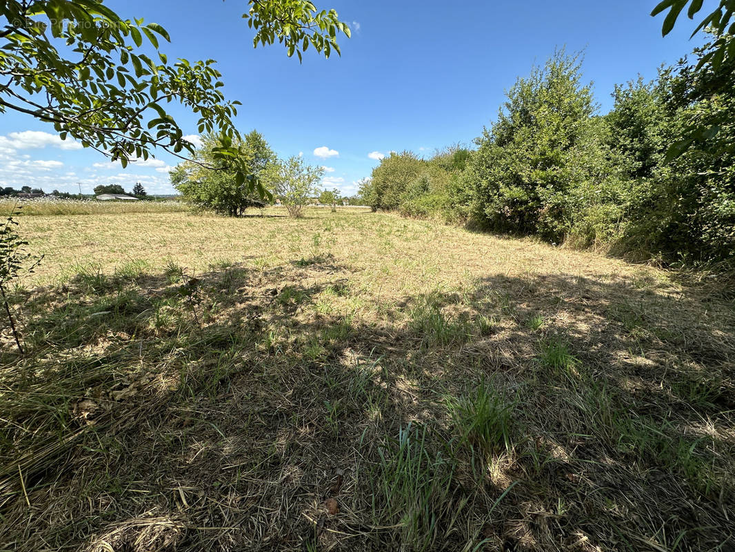 Terrain à CHENAUD