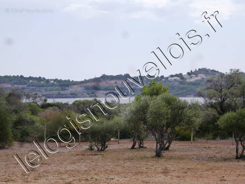 Terrain à FITOU