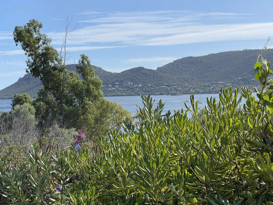 Maison à PORTO-VECCHIO