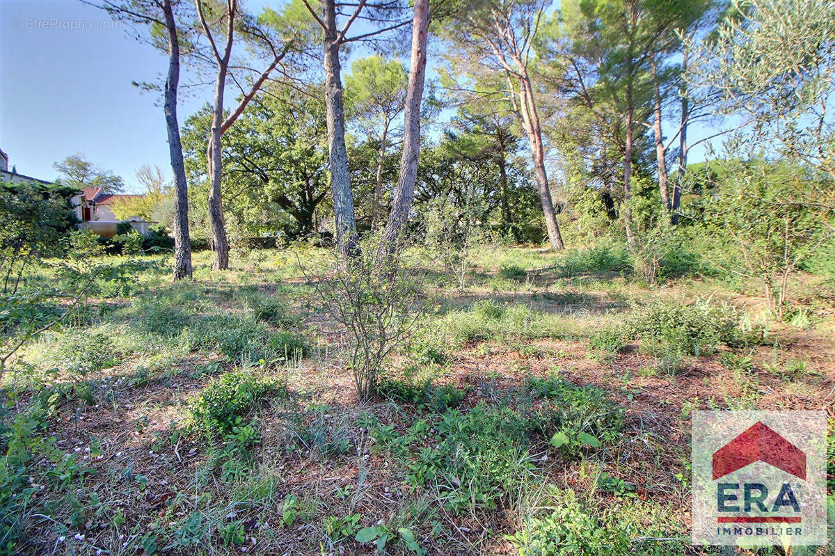 Terrain à BOLLENE