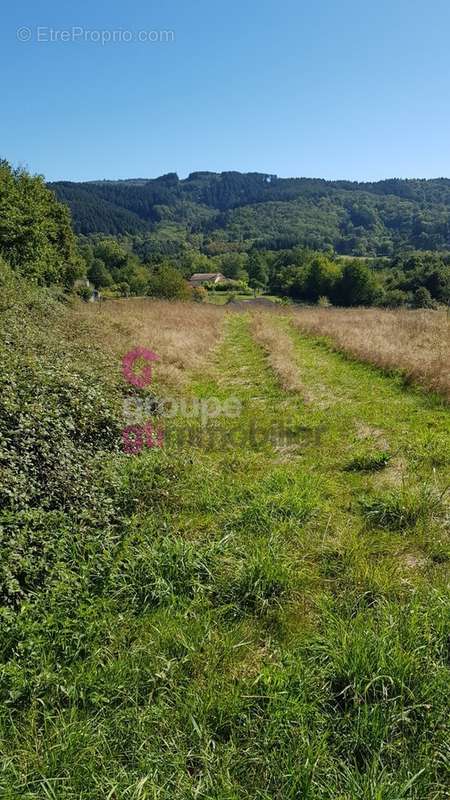 Terrain à PASLIERES