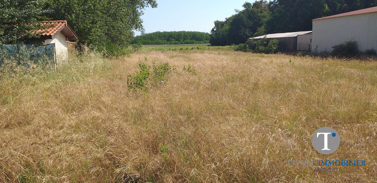 Terrain à JAU-DIGNAC-ET-LOIRAC