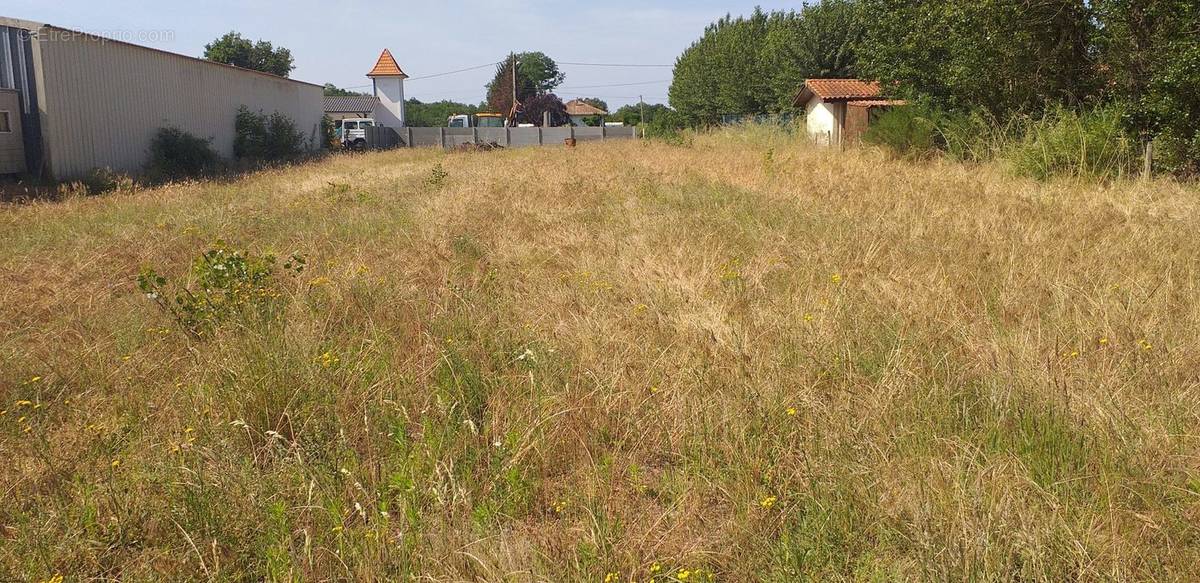 Terrain à JAU-DIGNAC-ET-LOIRAC