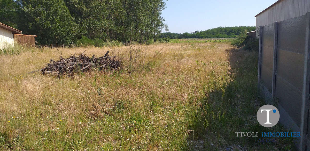 Terrain à JAU-DIGNAC-ET-LOIRAC