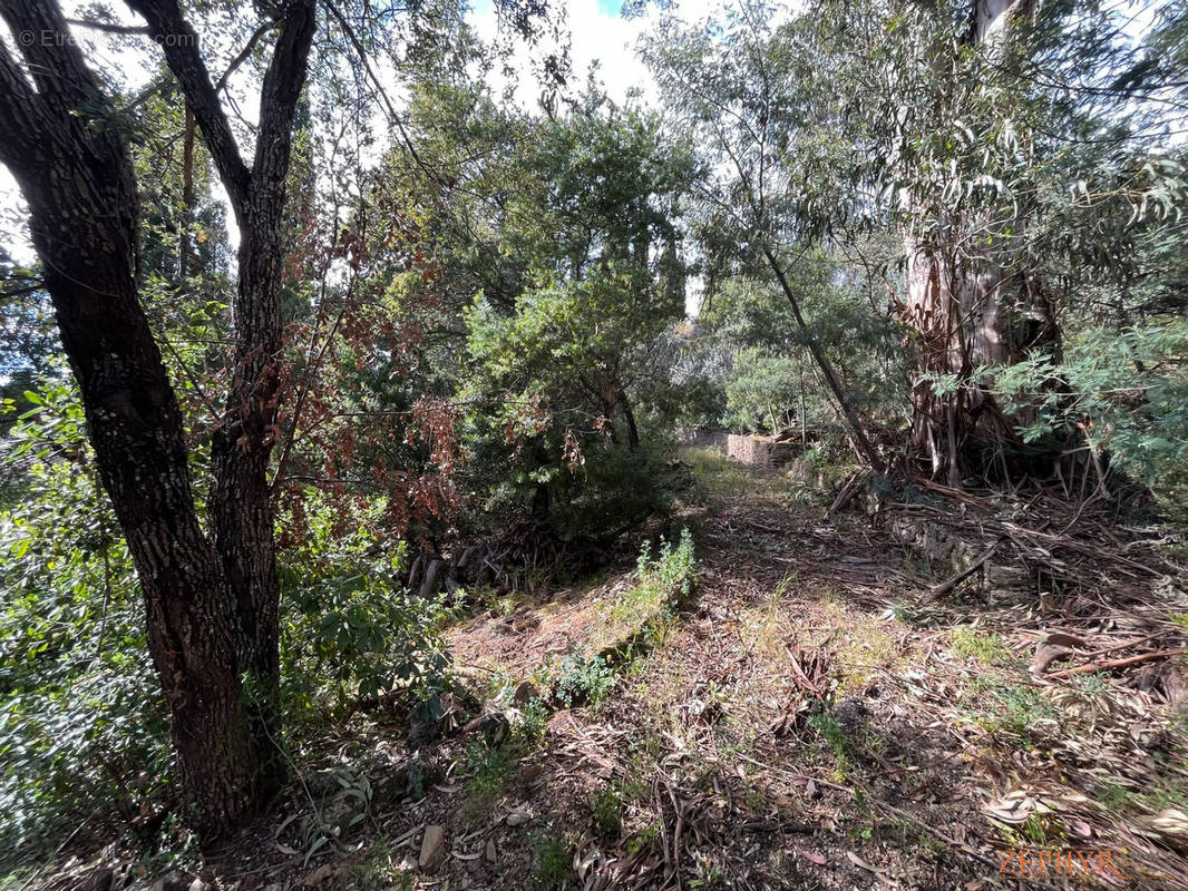 Terrain à ROQUEBRUNE-SUR-ARGENS