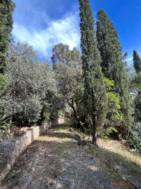 Terrain à ROQUEBRUNE-SUR-ARGENS