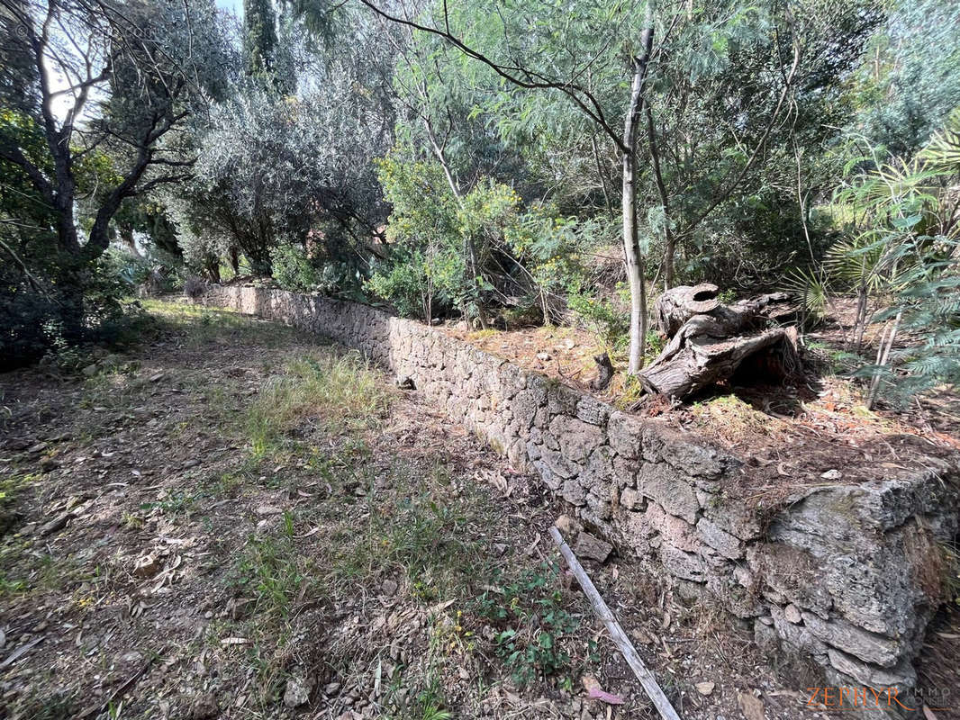 Terrain à ROQUEBRUNE-SUR-ARGENS