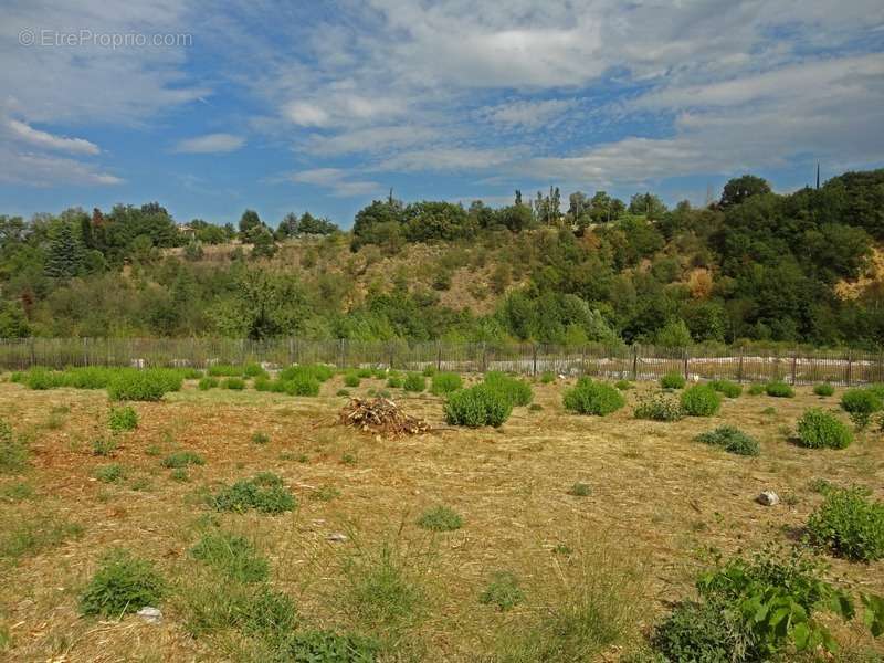 Terrain à PRADES