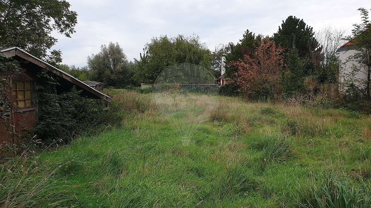 Terrain à SAINT-JOSSE