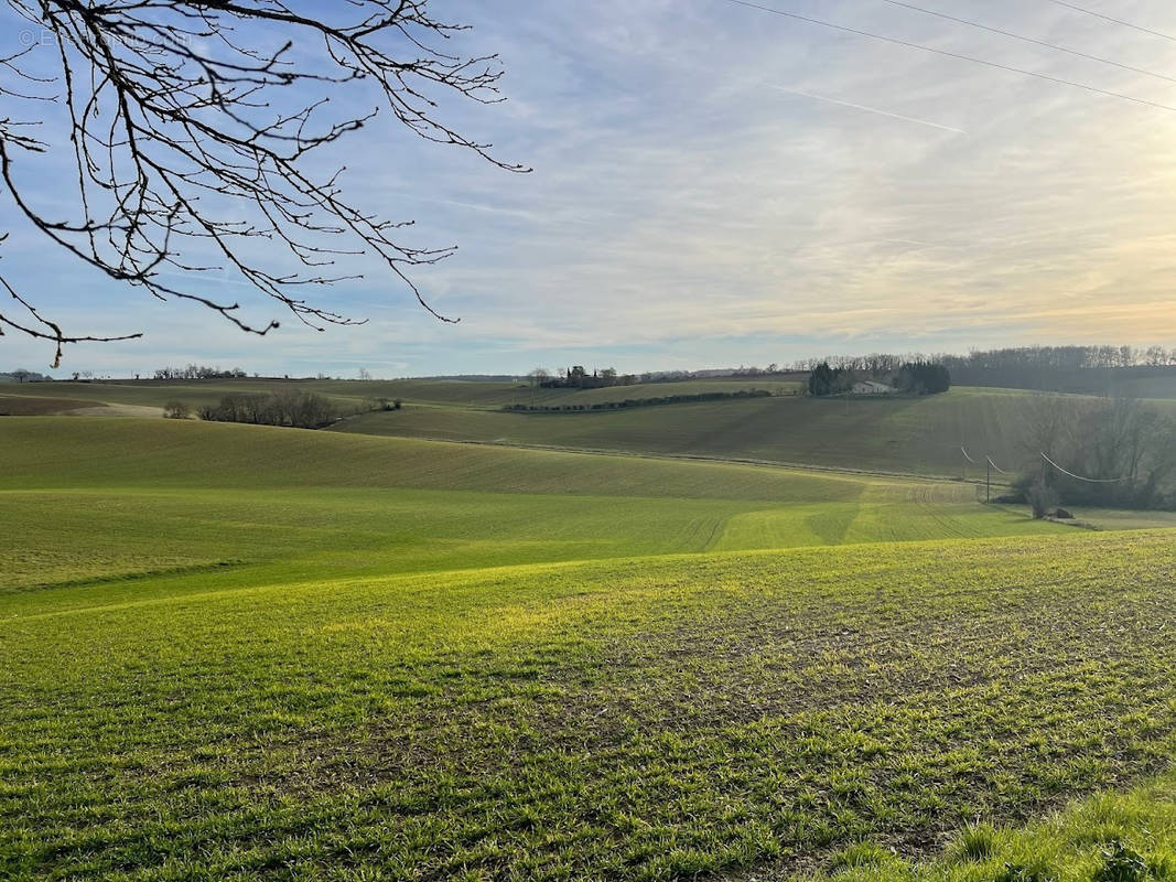 Terrain à PIS