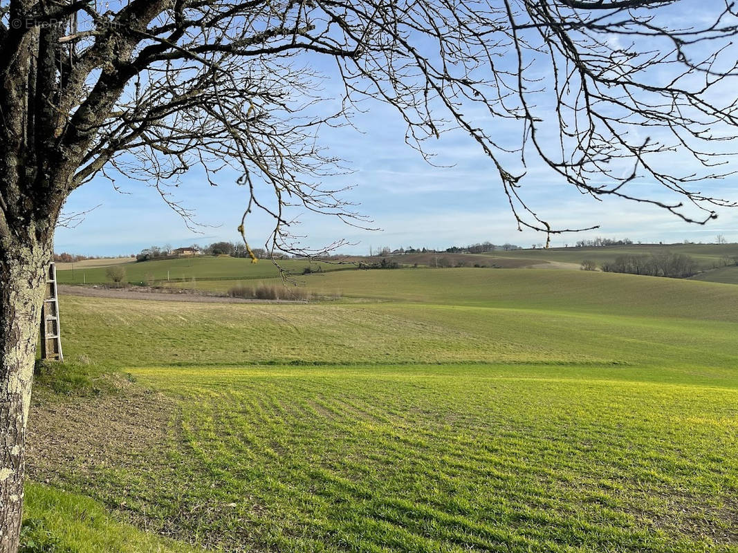 Terrain à PIS