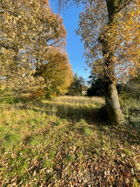 Terrain à MONTERREIN