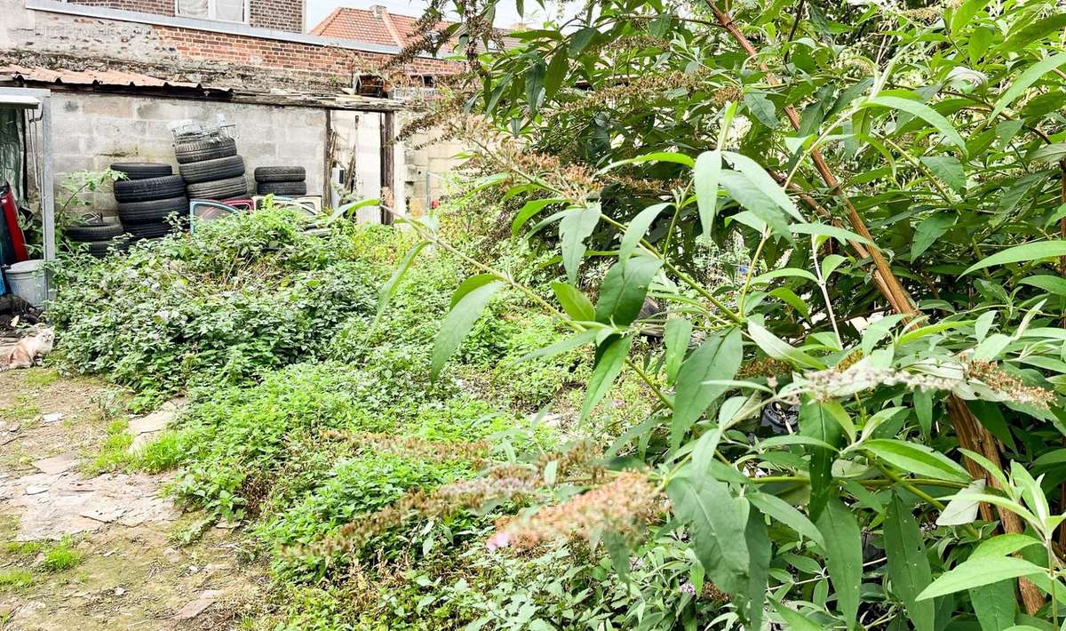 Jardin - Maison à WATTRELOS