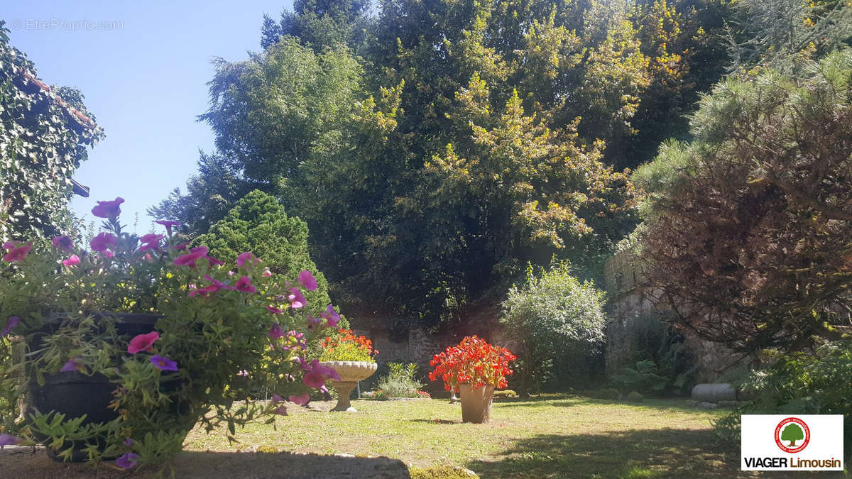 Maison à BOURGANEUF