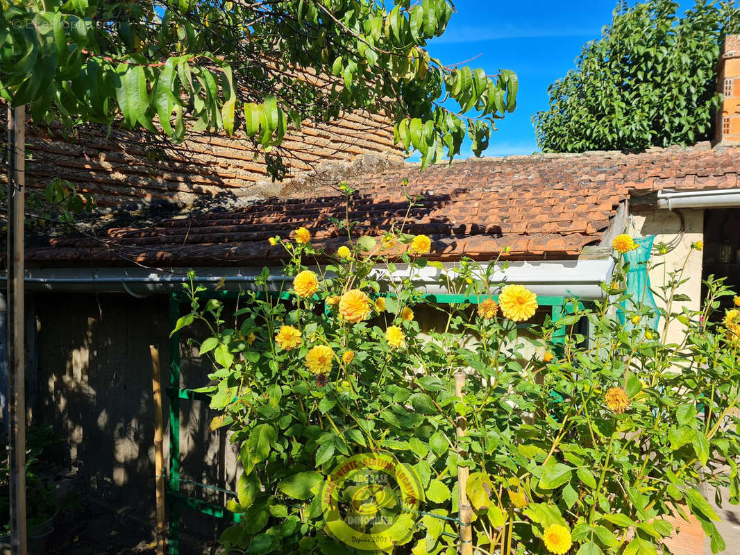 Maison à TONNEINS