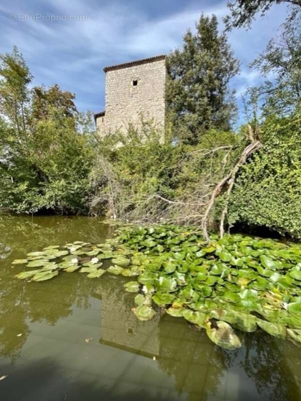 Maison à CONDOM