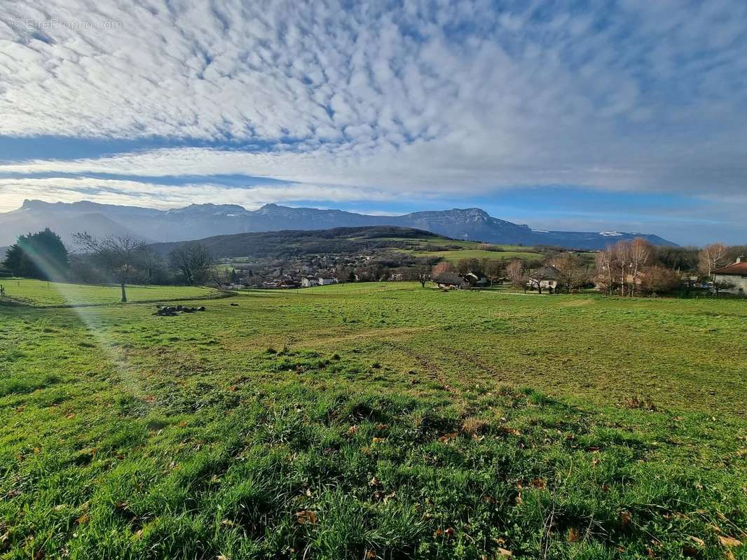 Terrain à JARRIE