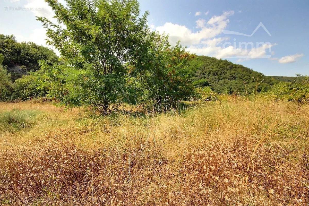 Terrain à LE TEIL