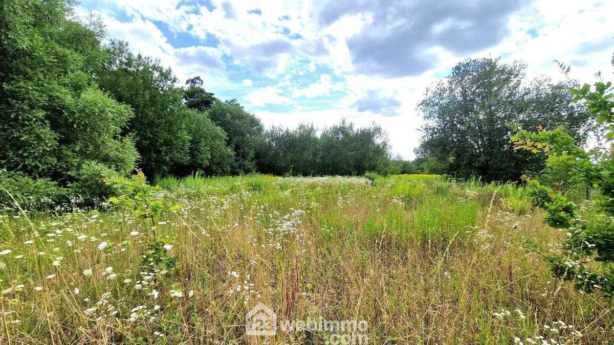 Idéal pour en faire un usage de pâture ou potager - Terrain à LAON