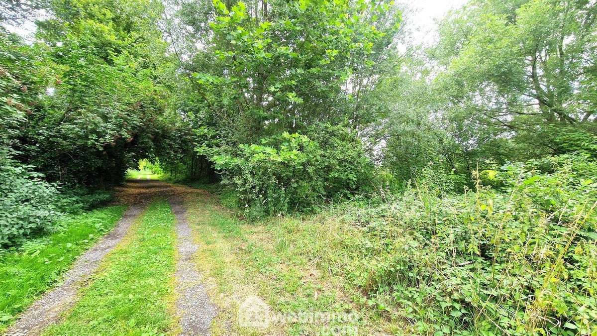 L&#039;environnement est arboré - Terrain à LAON