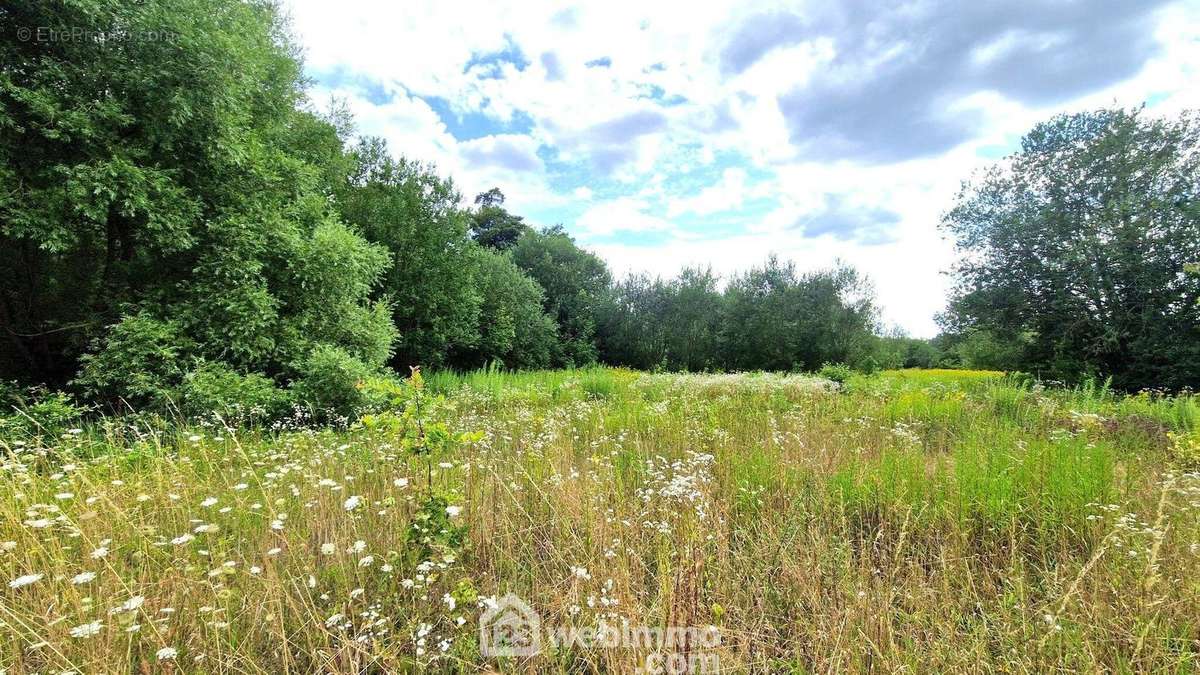 Terrain de loisirs d&#039;une superficie de 3886 m² - Terrain à LAON