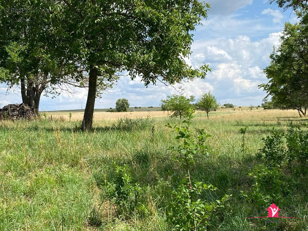 Terrain à BERG