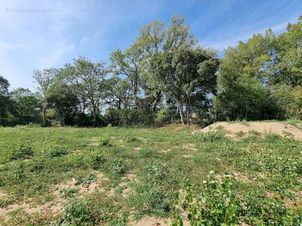 Terrain à SAINT-JEAN-DE-MONTS