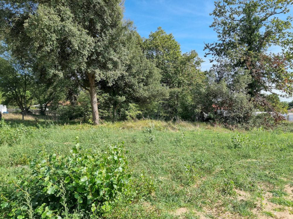 Terrain à SAINT-JEAN-DE-MONTS