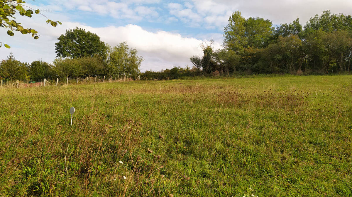 Terrain à SAINT-PATERNE-RACAN