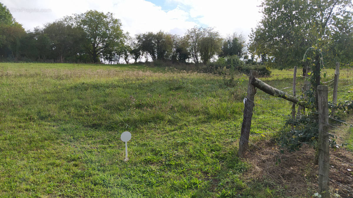 Terrain à SAINT-PATERNE-RACAN