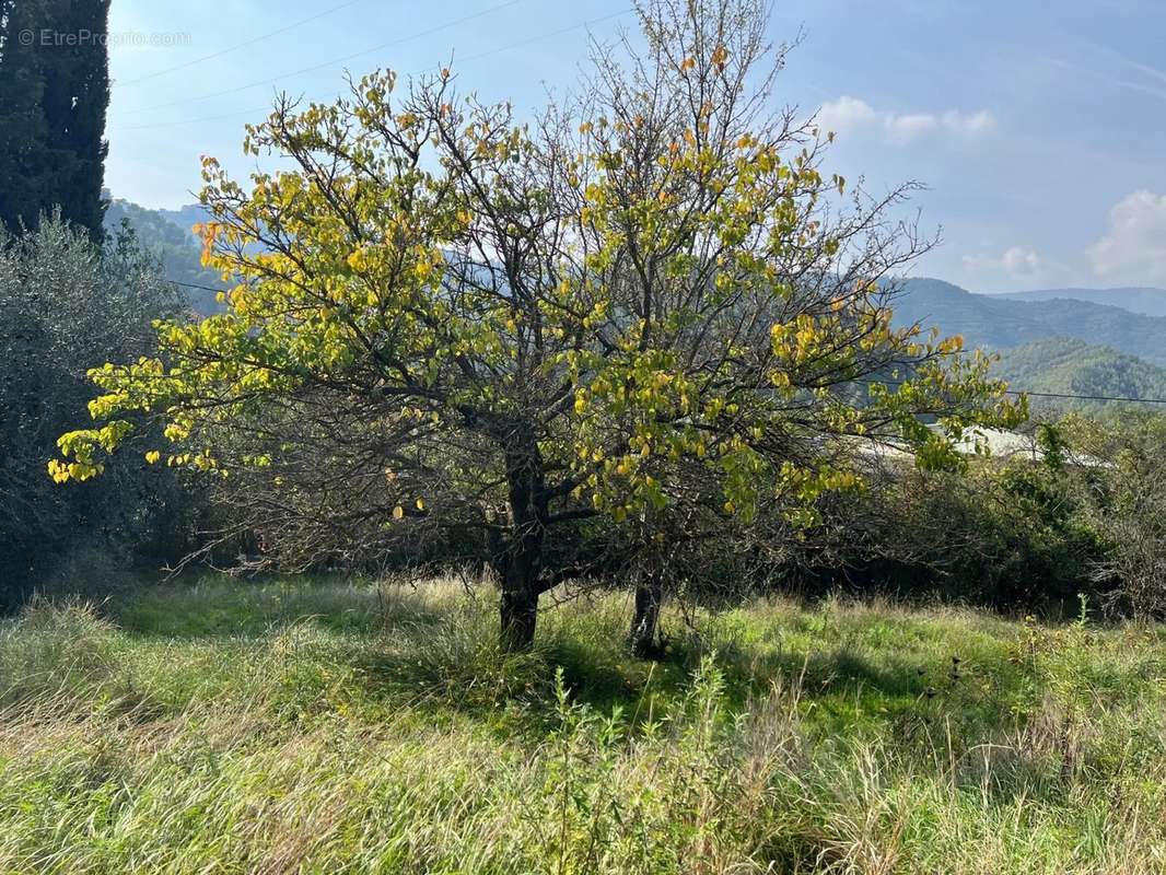 Terrain à L&#039;ESCARENE