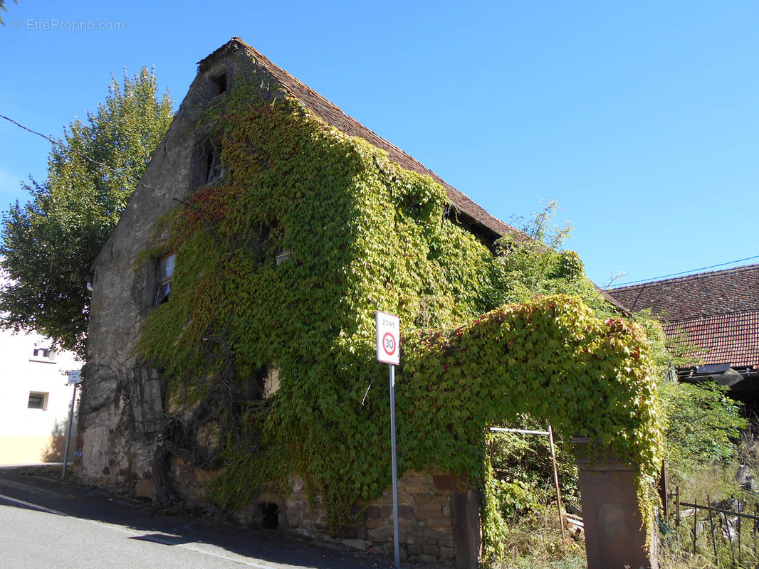 Maison à LANDERSHEIM