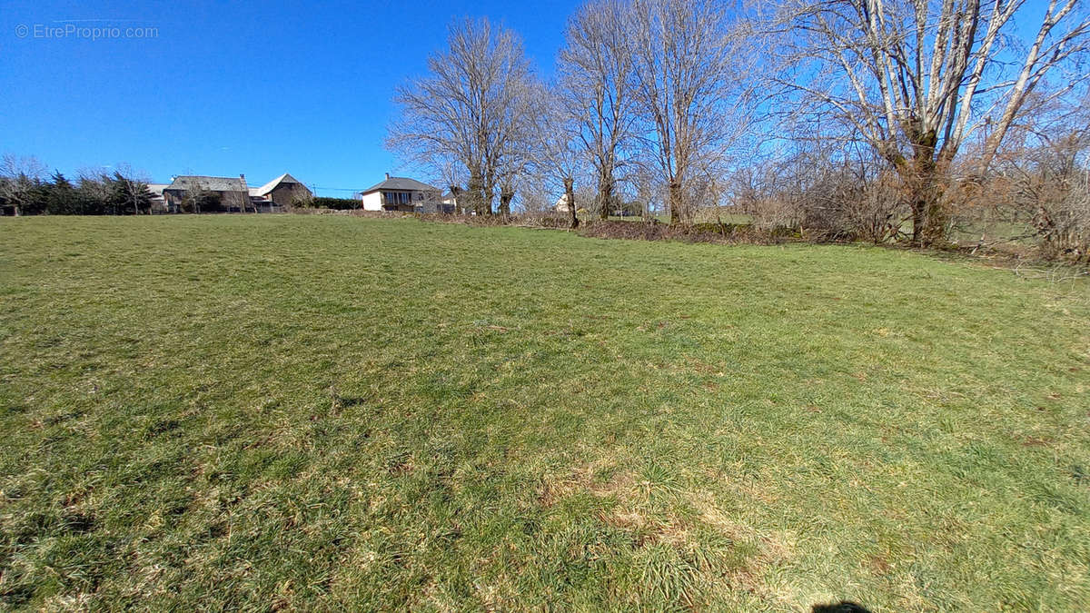 Terrain à SAINT-CHELY-D&#039;AUBRAC