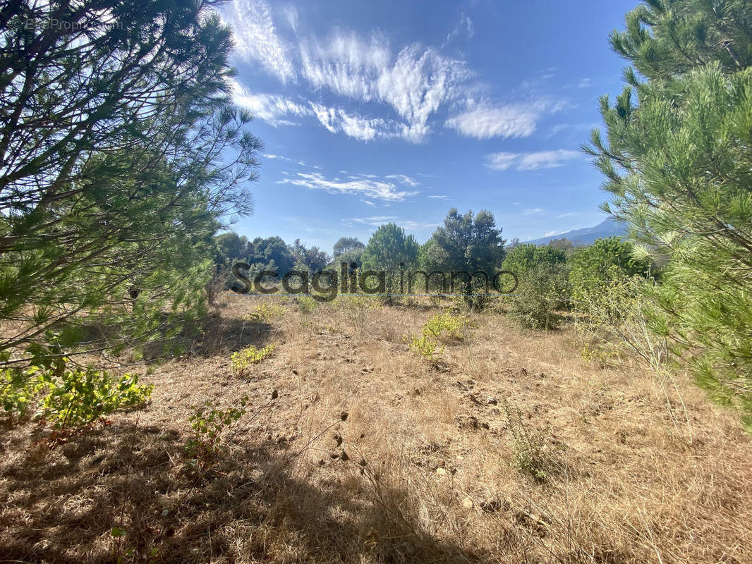 Terrain à FIGARI